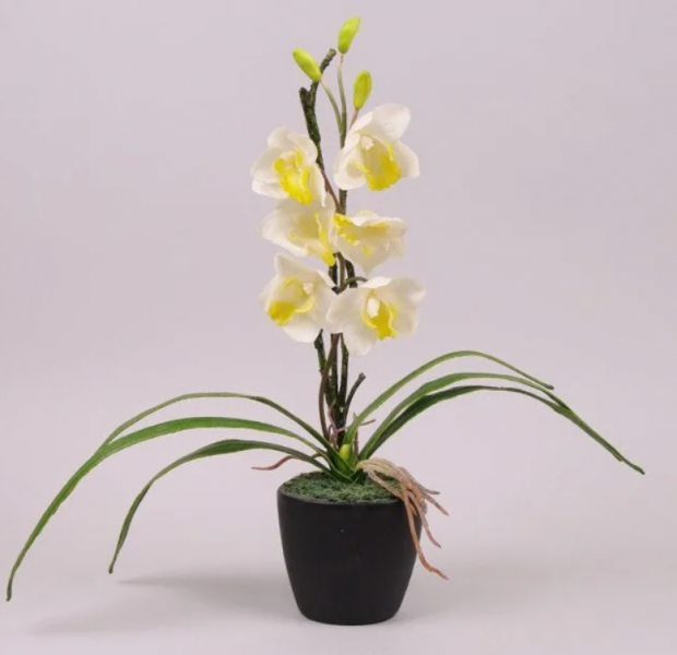 

Декорация цимбидиум белая Flora 50 см 7344