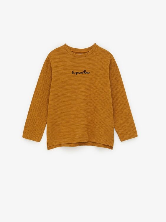 

Світшот ZARA 36434 10/140 см Коричневий