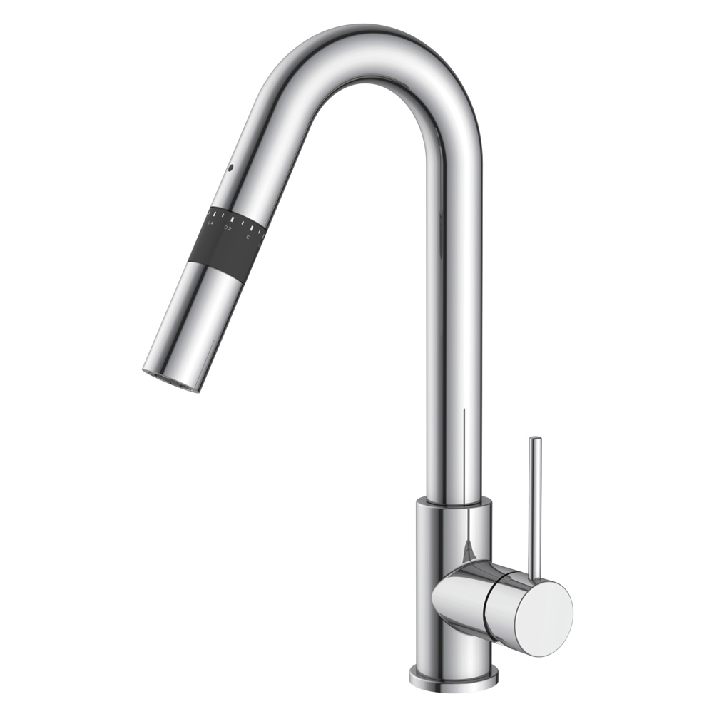 

Смеситель для кухни Imprese Smart bio ZMK051901151 с дозатором воды (хром)