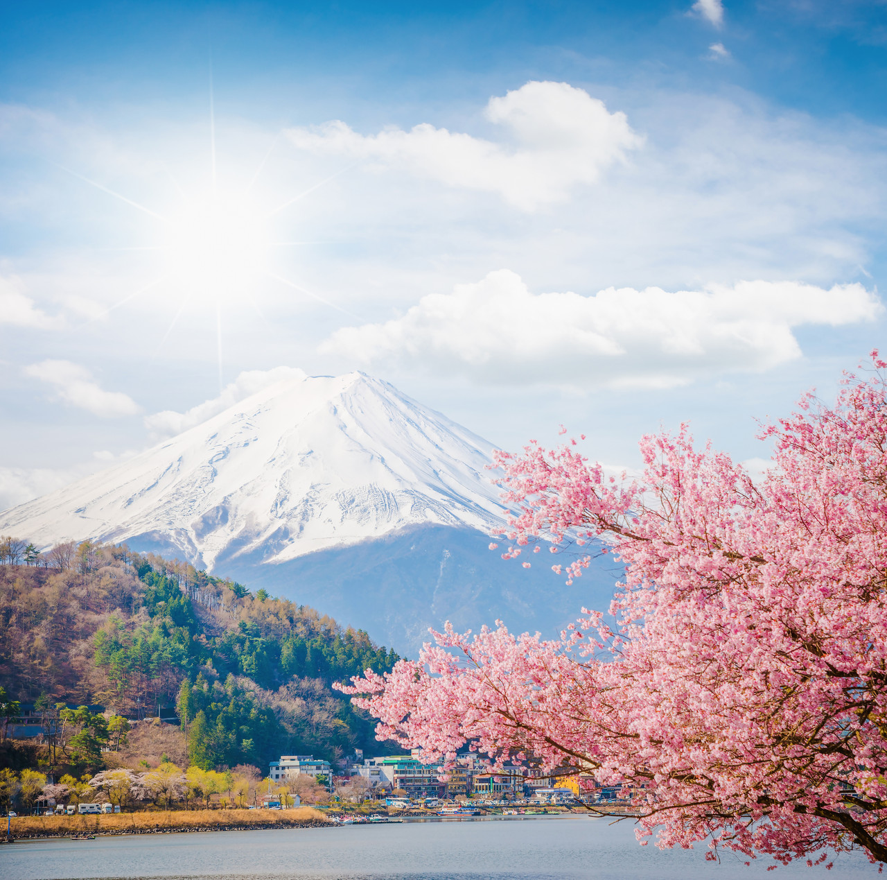 япония цветение кленов