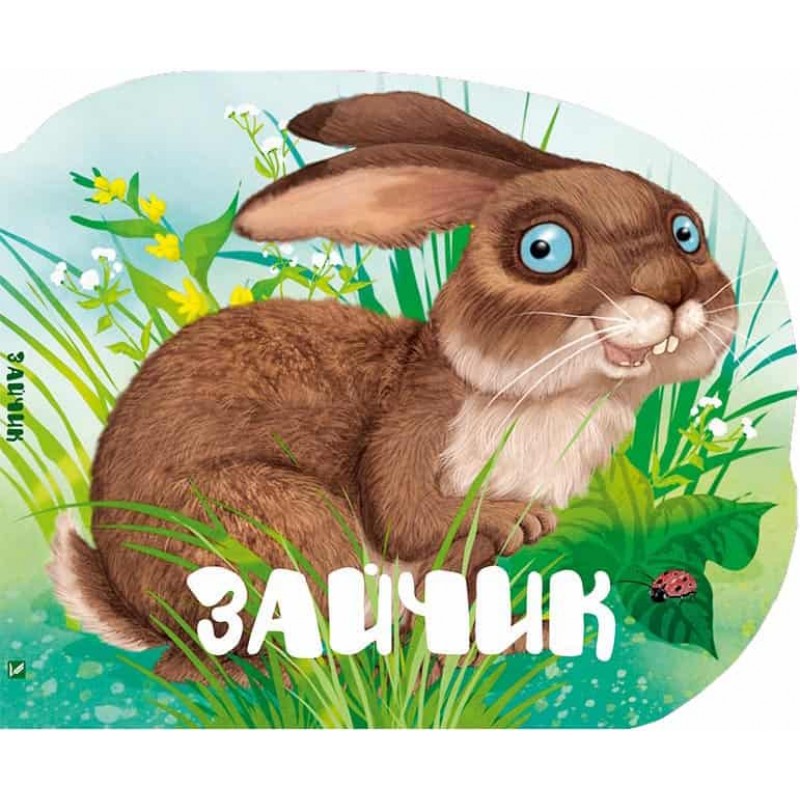 

Зайчик (укр.), Виват (12-47895)