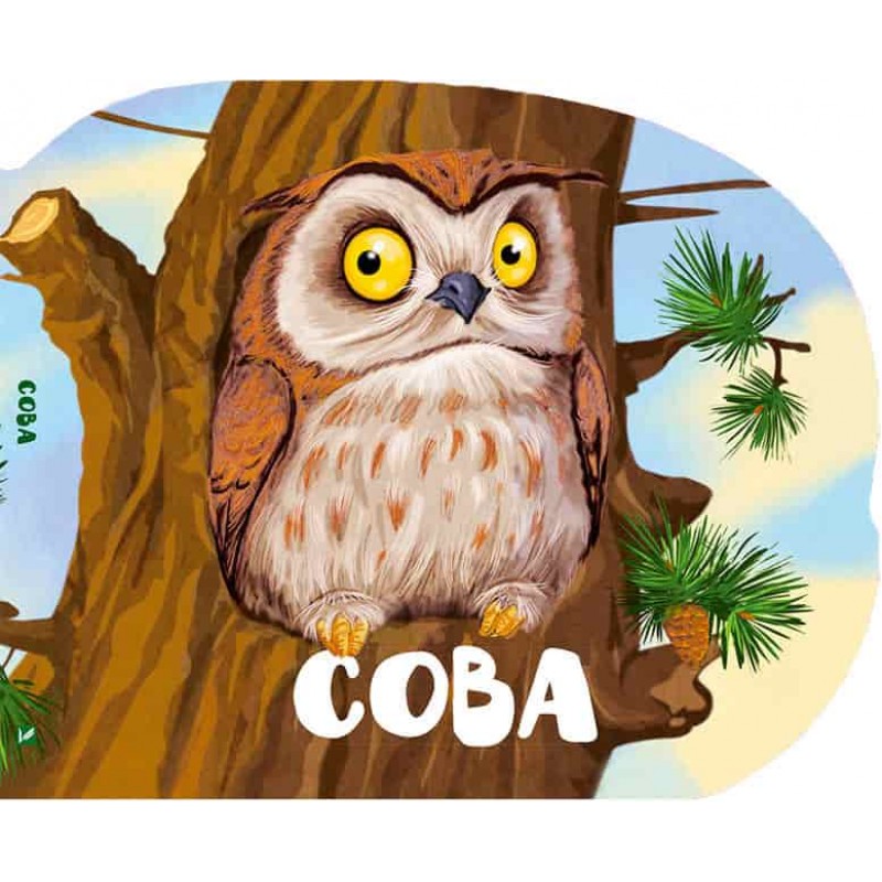 

Сова (рус.), Виват (12-47926)