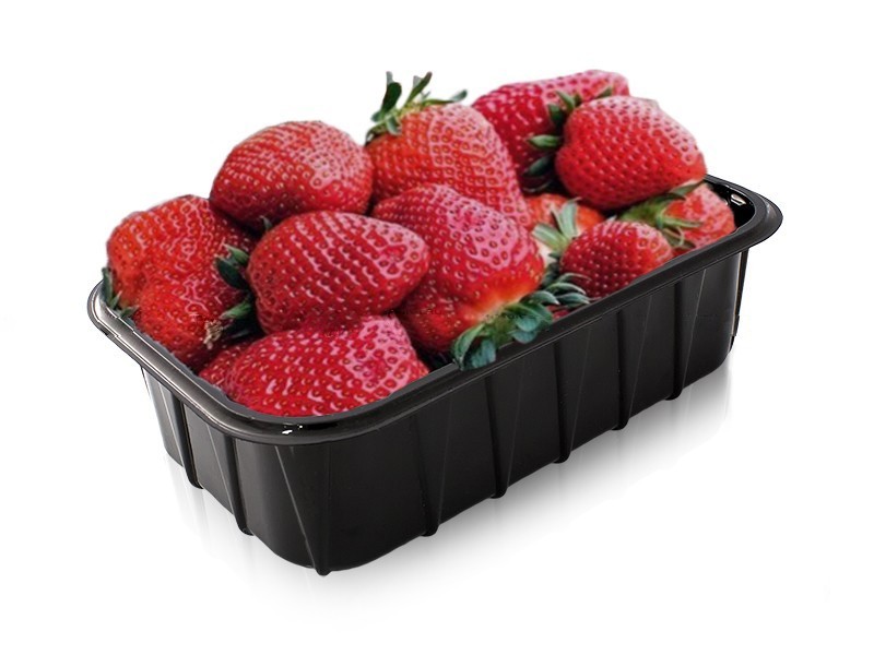 

Лоток для ягоды ПП-702, (0,5 кг) черный Food Packing