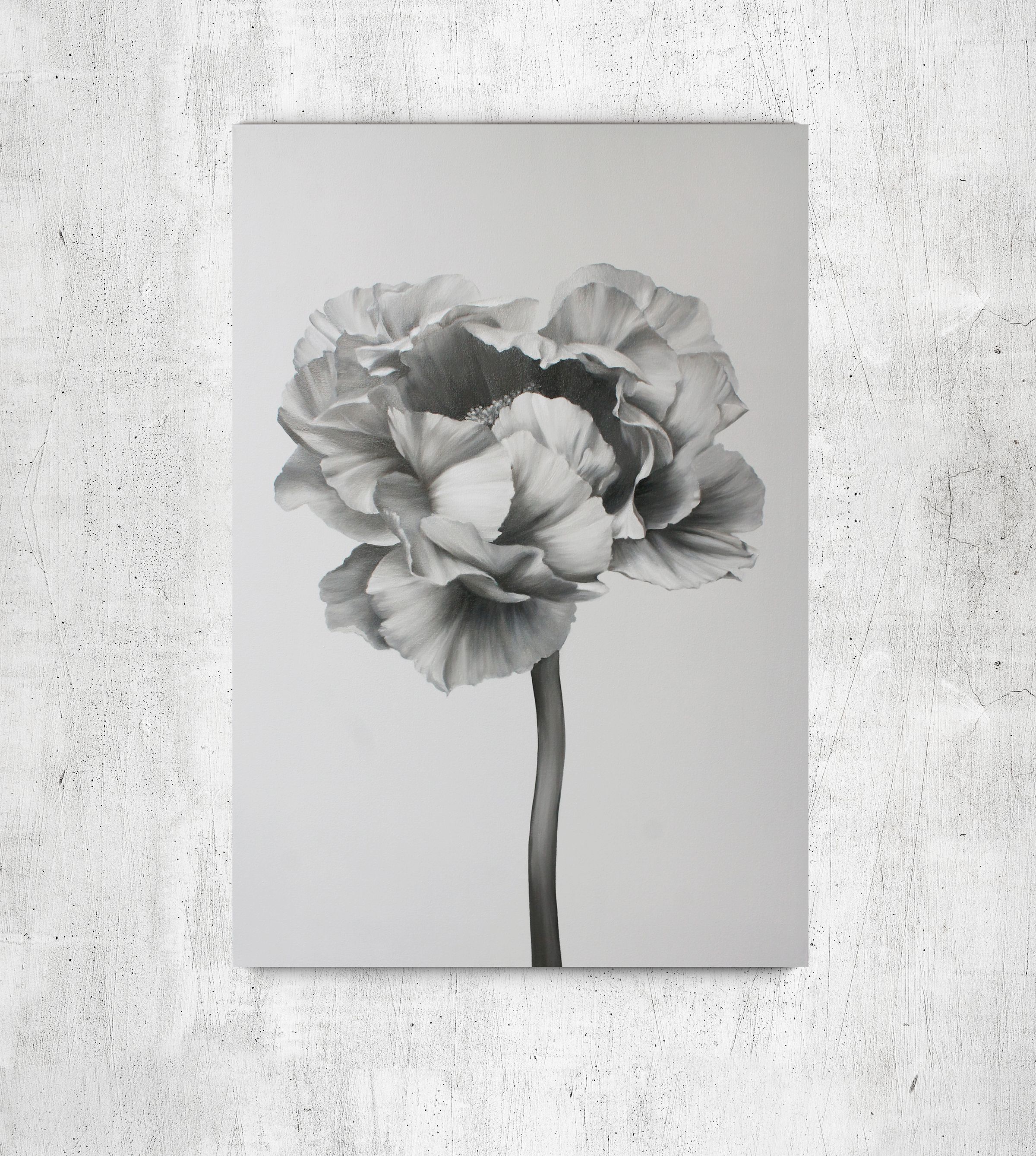 

Картина цветы пионы масляными красками на холсте Mati Black and white peony 2 Ручной работы 70х100 см (AO-266-F 70-100)