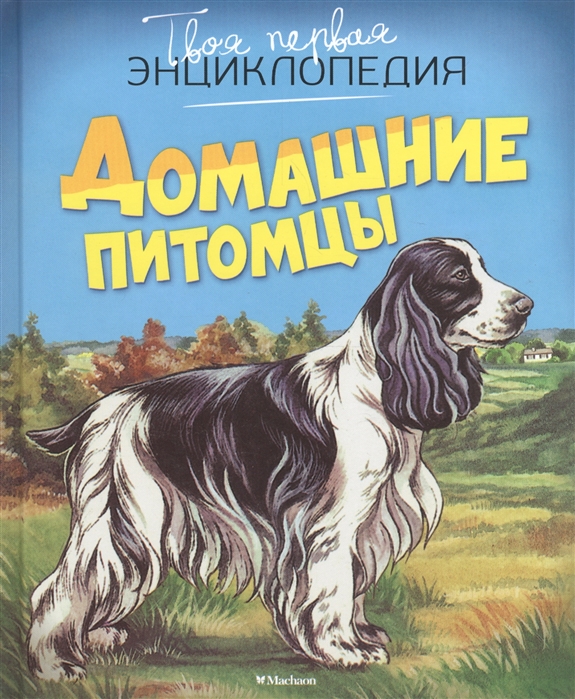 

Домашние питомцы (922420)