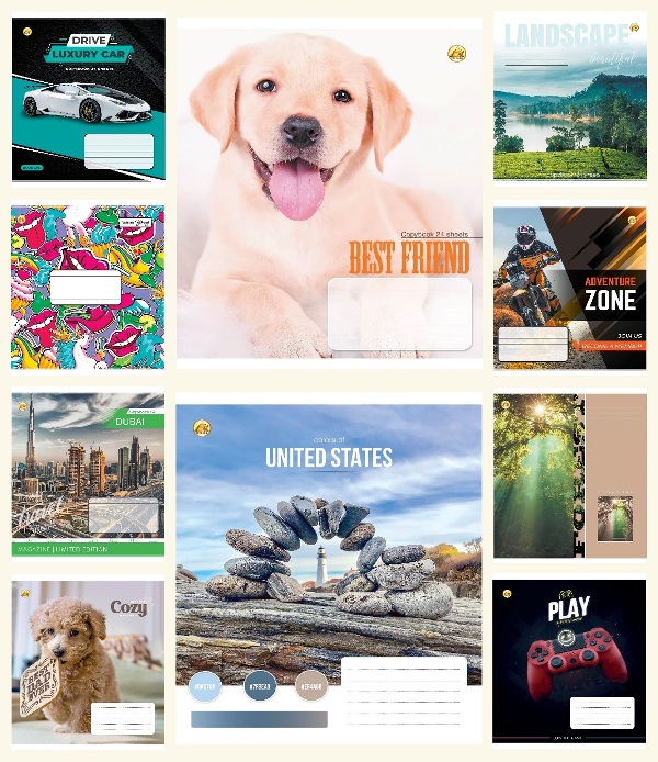 

Набор тетрадей ученических Тетрада Микс 2 10 дизайнов в клетку 24 листа 20 шт (51323)