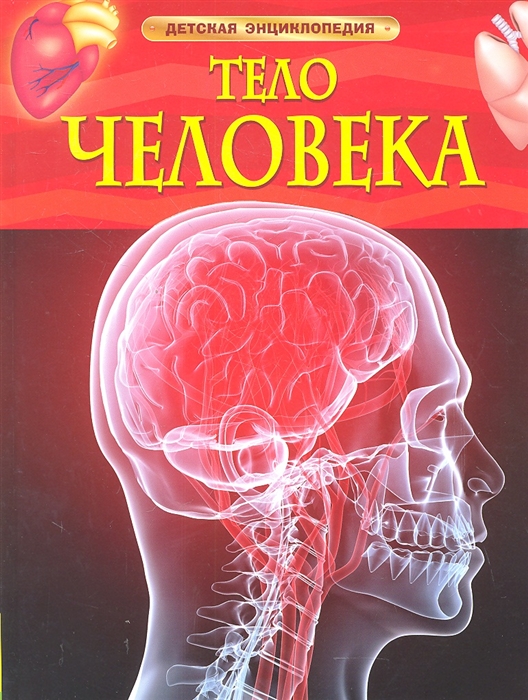 

Тело человека (512905)