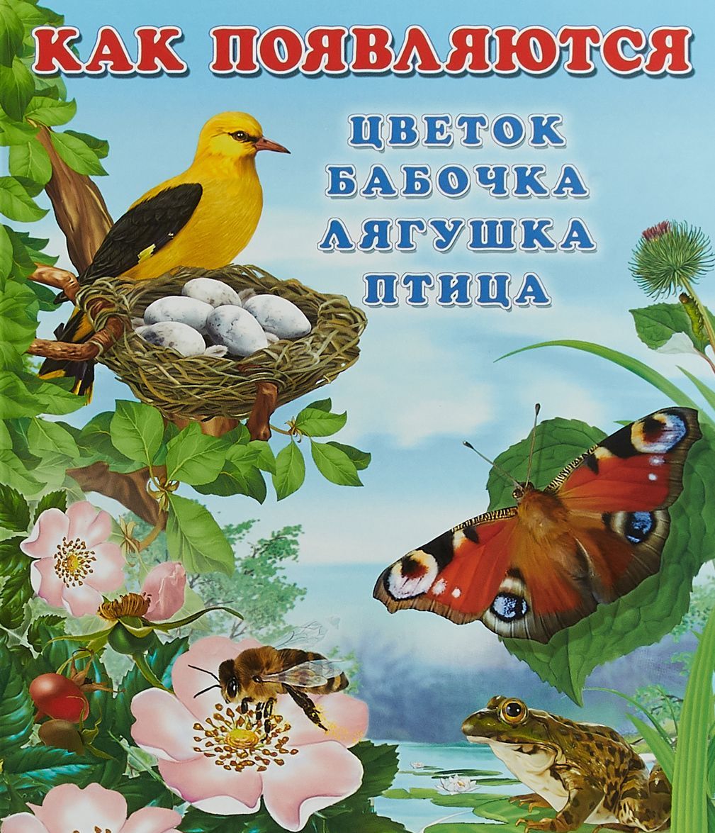 

Как появляются цветок, бабочка, лягушка, птица