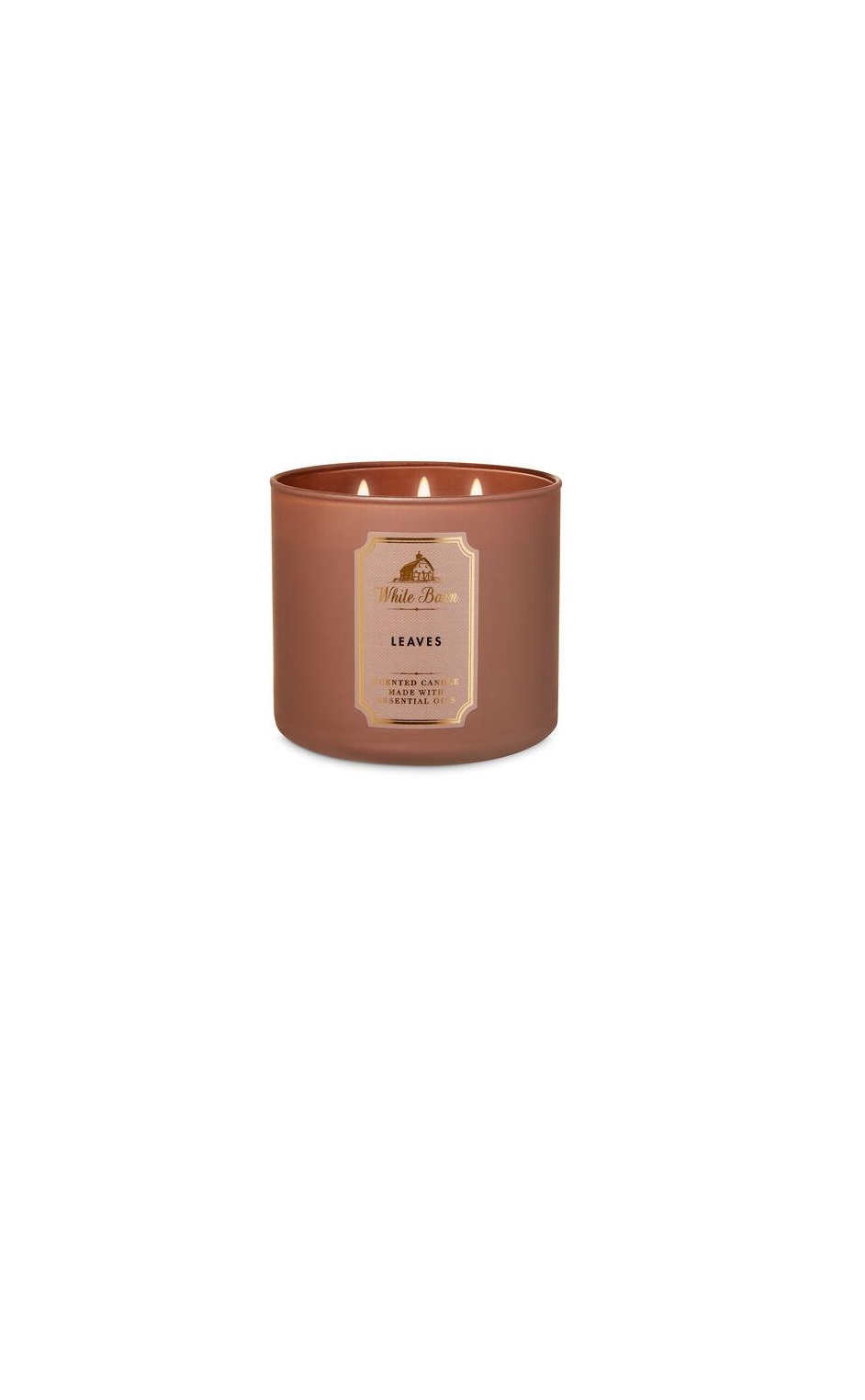 

Свеча ароматизированная LEAVES Bath & Body Works BBW0007W 411 г Коричневый
