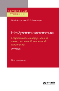 

Нейропсихология. Строение и нарушения центральной нервной системы. Атлас. Учебное пособие для академического бакалавриата (1746574)