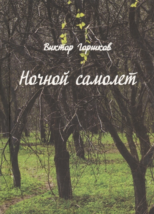 

Ночной самолёт. Стихи