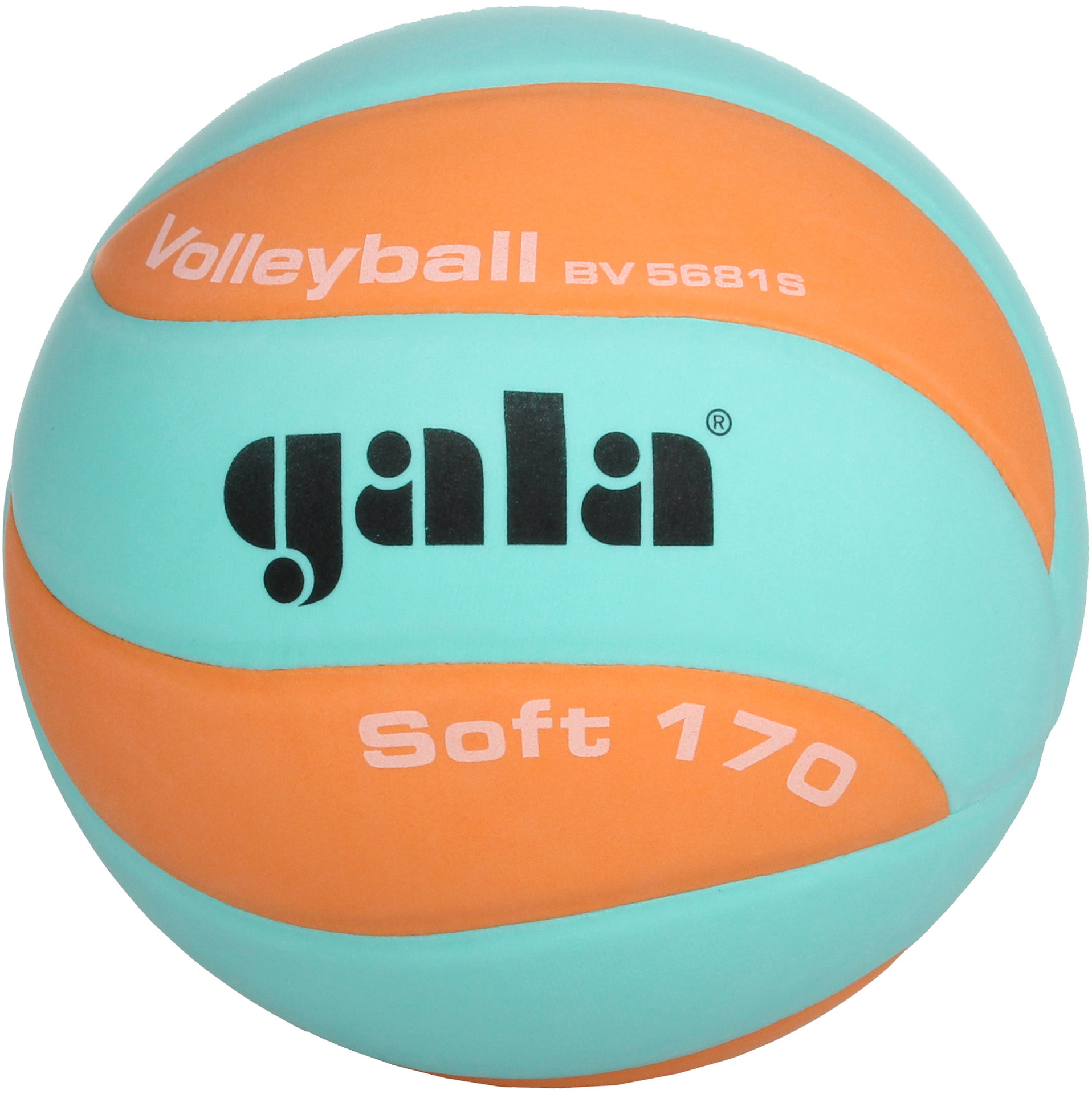 

Мяч волейбольный Gala Soft 170 go (BV5681SCO)