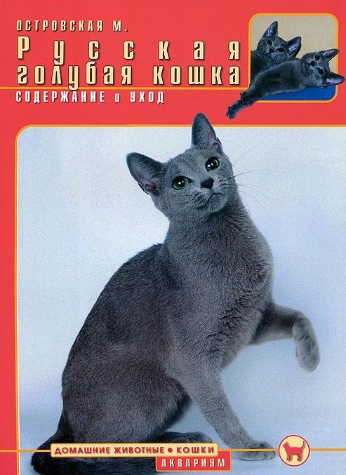 

Русская голубая кошка. Содержание и уход