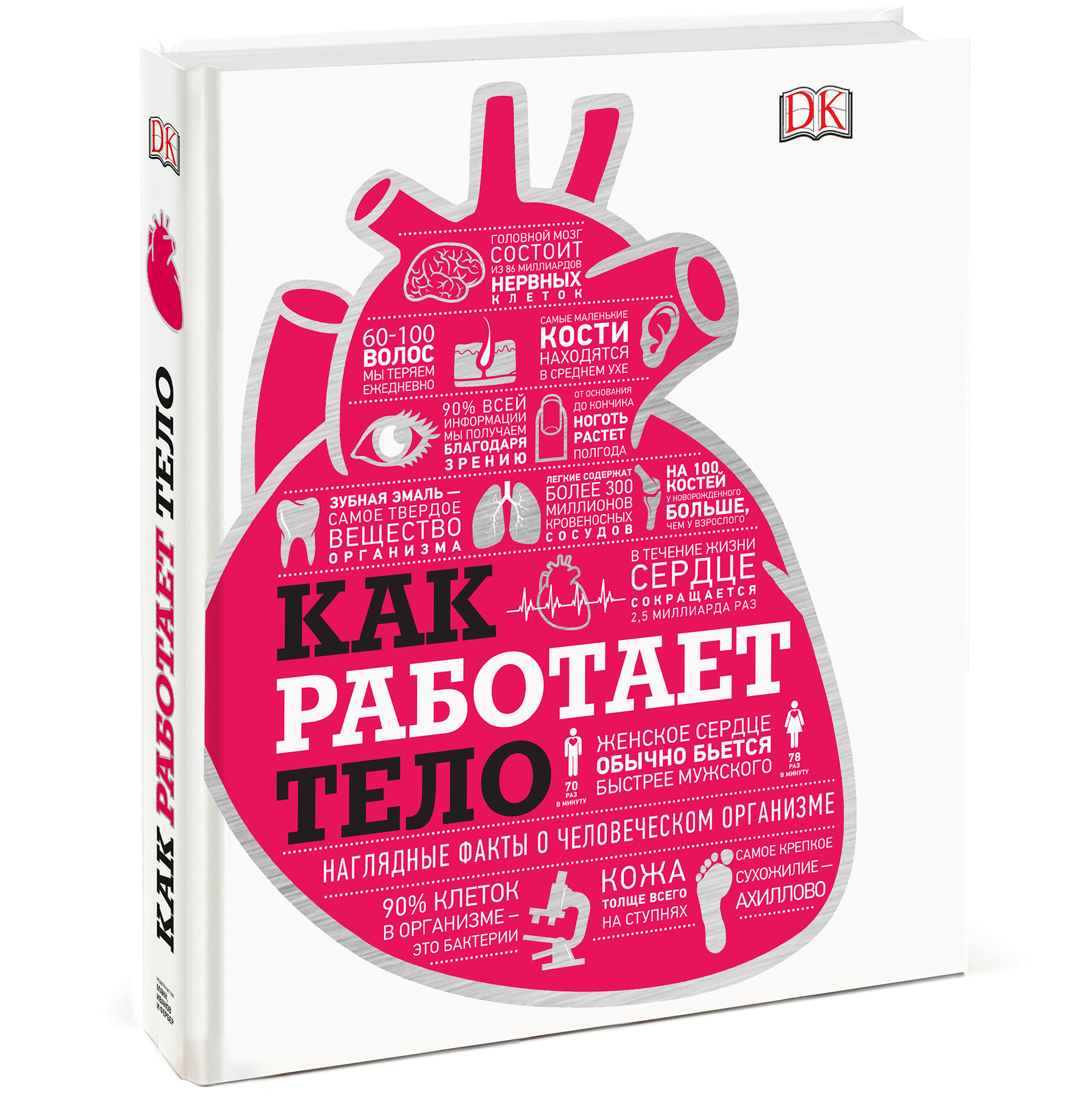 

Как работает тело (2101247)