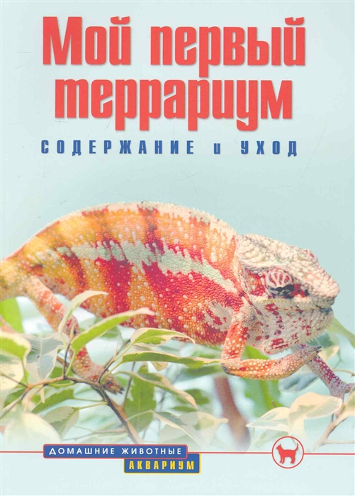 

Мой первый террариум. Содержание и уход