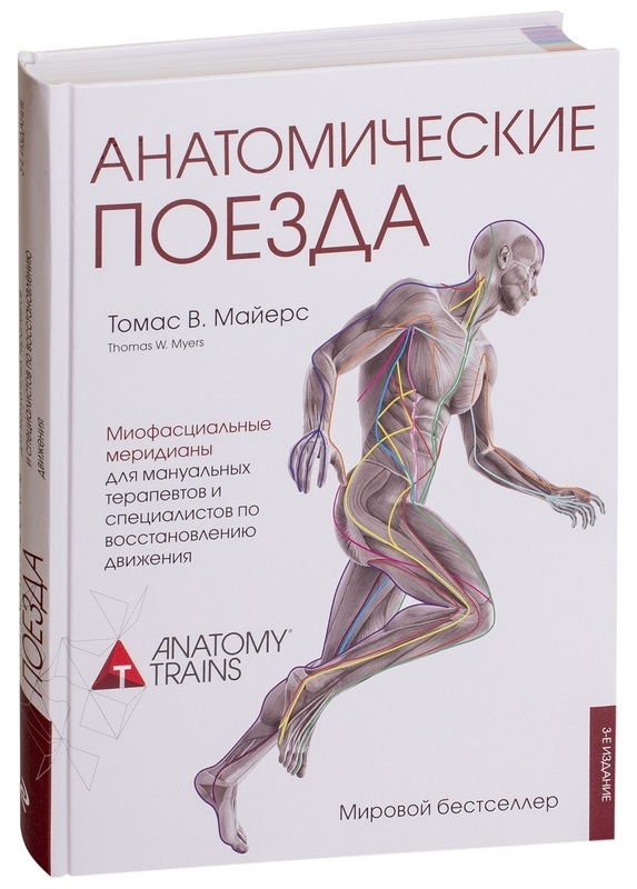 

Анатомические поезда (2754560)