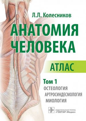 

Анатомия человека. Том 1. Остеология, артросиндесмология, миология. Атлас