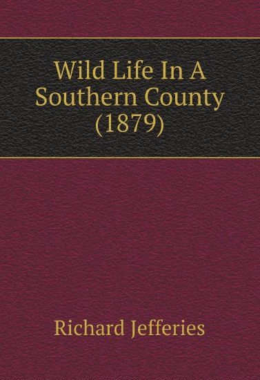 

Wild Life In A Southern County (1879)