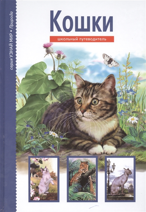 

Кошки: Школьный путеводитель (713423)