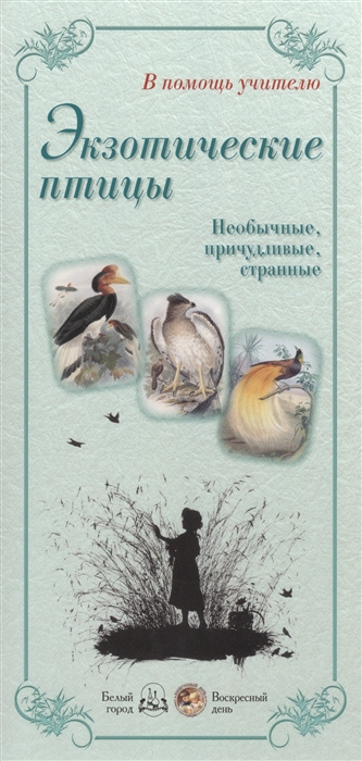 

Экзотические птицы. Необычные, причудливые, странные