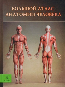 

Большой атлас анатомии человека (621568)