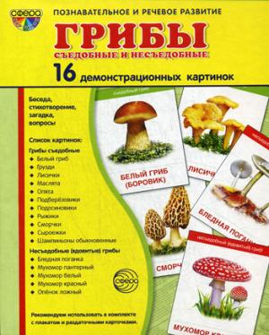 

Грибы съедобные и несъедобные