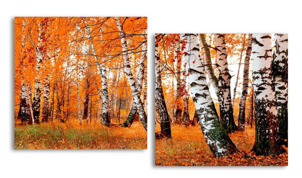 

Модульная картина LaPrint Березовая роща 200х109 см