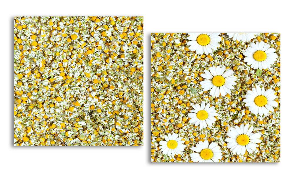 

Модульная картина LaPrint Ромашки 200х109 см