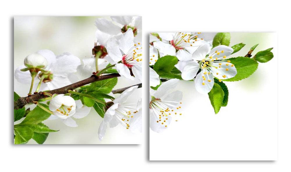 

Модульная картина LaPrint Цветы яблони 200х109 см