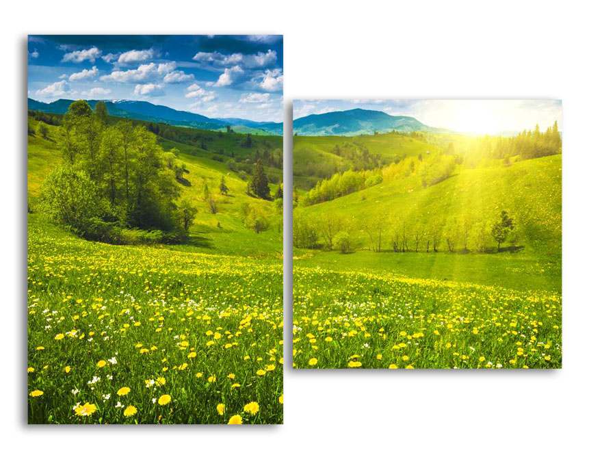 

Модульная картина LaPrint Цветочная долина 200х145 см
