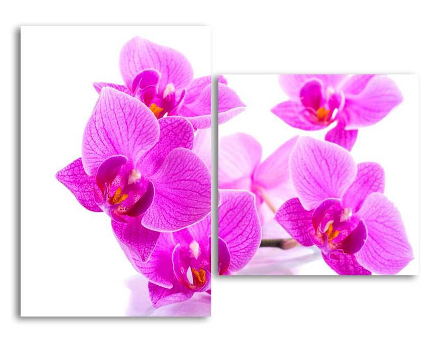 

Модульная картина LaPrint Фиолетовая орхидея 200х145 см
