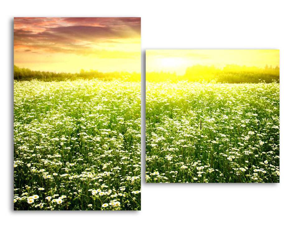 

Модульная картина LaPrint Солнечный луг 200х145 см