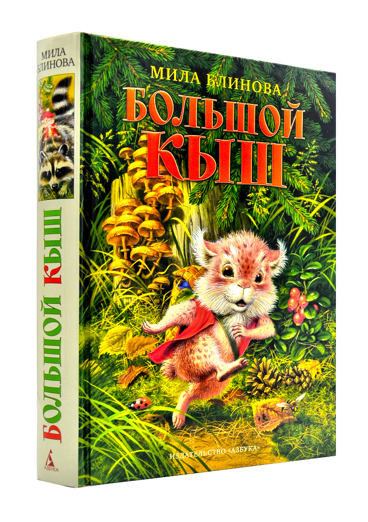 

Большой Кыш