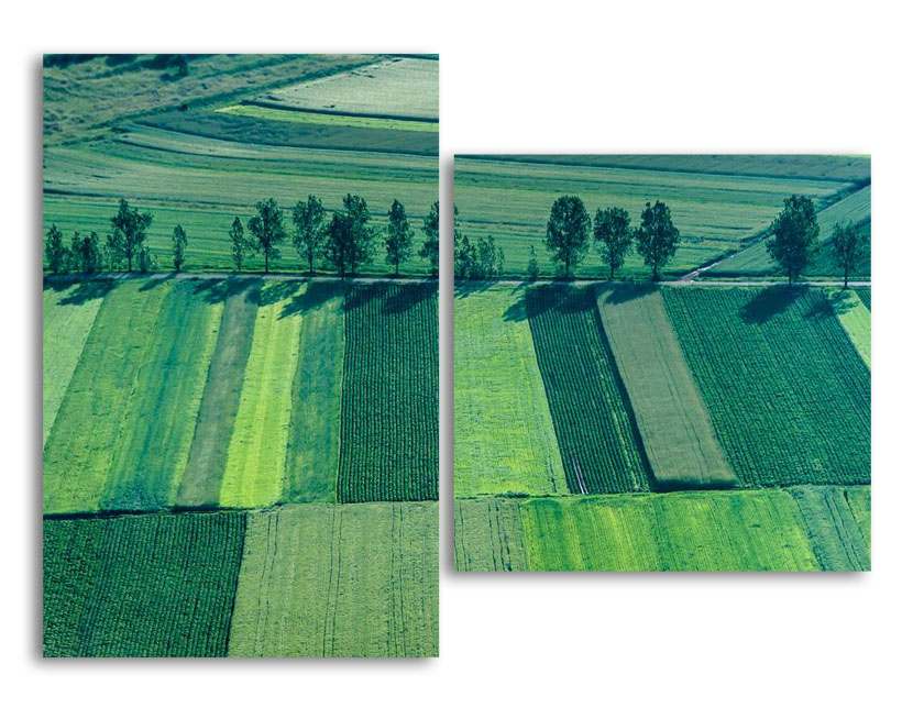 

Модульная картина LaPrint Поля 200х145 см