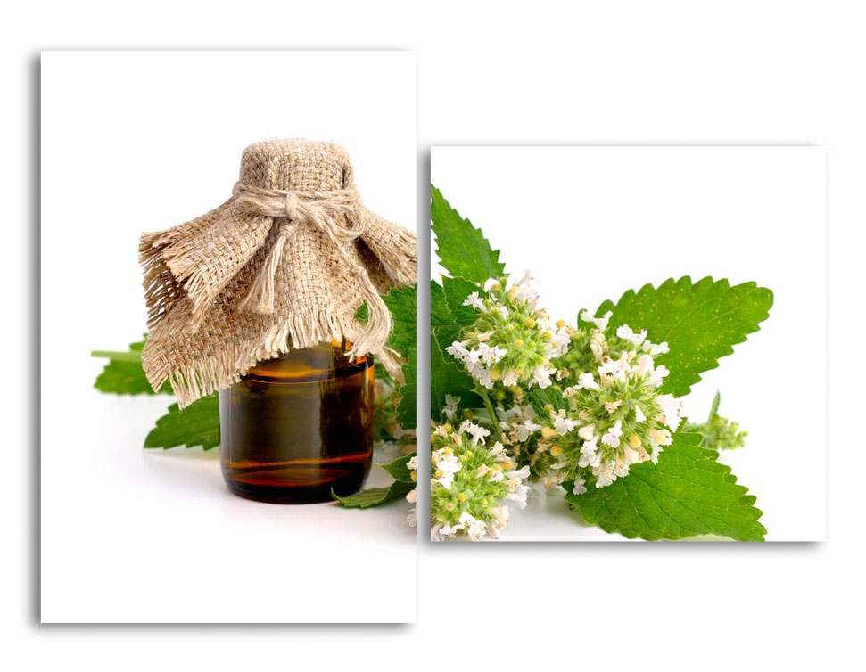 

Модульная картина LaPrint Мята 200х145 см