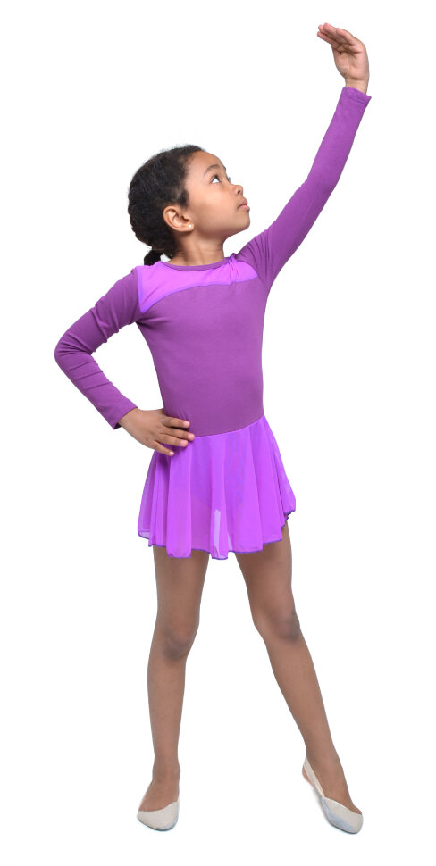 

Купальник для гимнастики и танцев Little Dancer DR-2088-V фиолетовый рост 34 (рост 134-140 см)