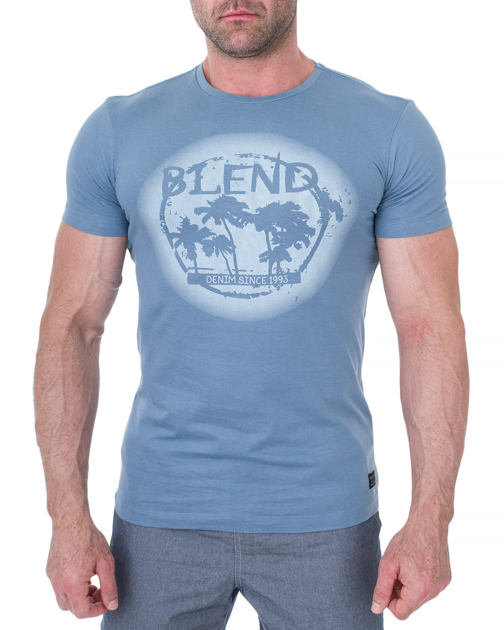

Футболка чоловіча BLEND (20707886-74673/91) Синій, Футболка чоловіча BLEND (20707886-74673/91) Синій XL