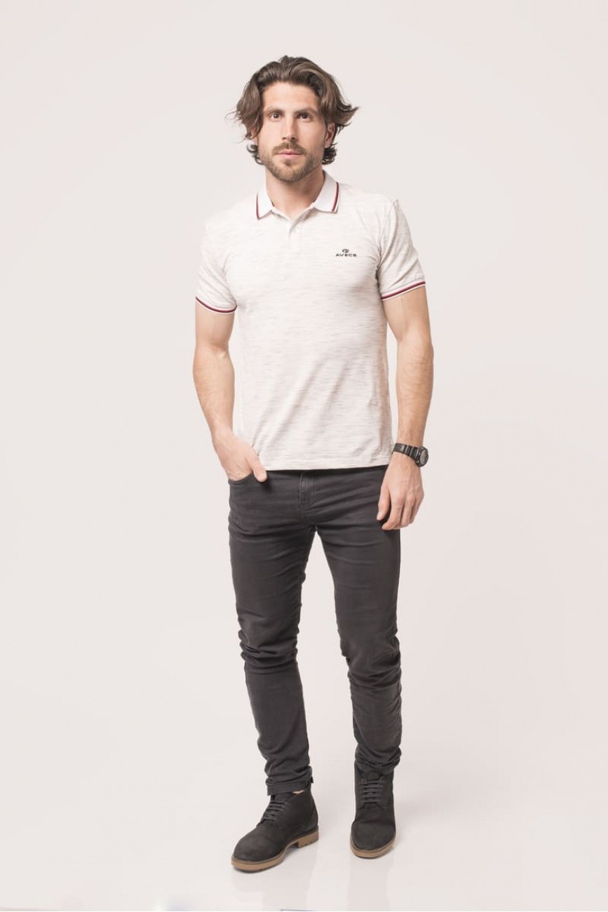 

Тенниска мужская AVECS 30331 белая, Тенниска мужская AVECS 30331 белая M