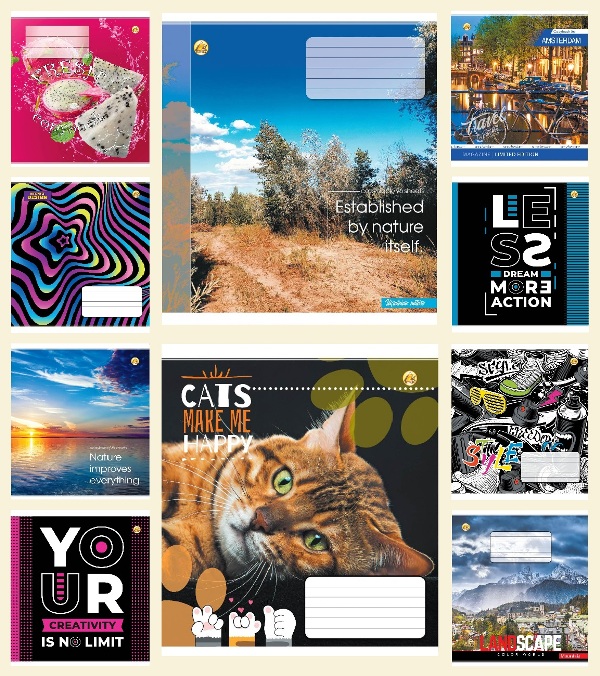 

Набор тетрадей школьных Тетрада Микс 10 дизайнов 10 шт 96 листов А5 клетка (51717)