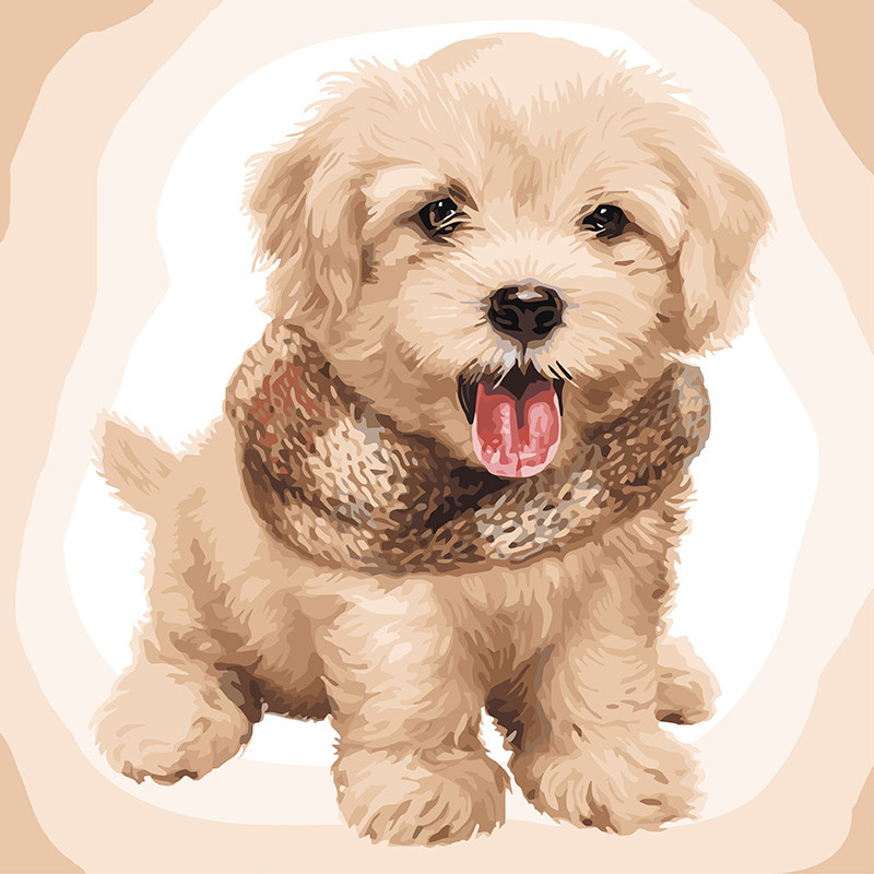 

Картина по номерам Идейка Пушистый щенок 40х40см KHO4116