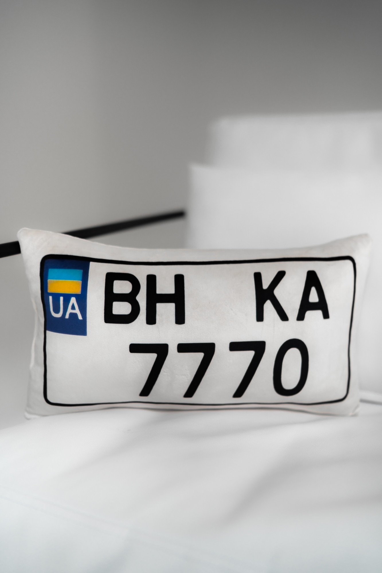 

Подушка IPQ двухсторонняя (транспорт) "Номер автомобильный" 80 см