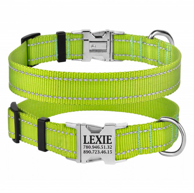 

Ошейник для собак BronzeDog Active нейлоновый с металлической пряжкой XL Салатовый (38/1305/Т) (4823100905619)