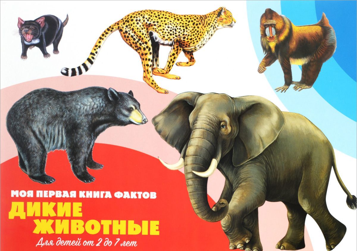 

Дикие животные (+ наклейки) (1270883)