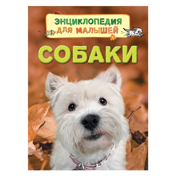 

Собаки (1324097)
