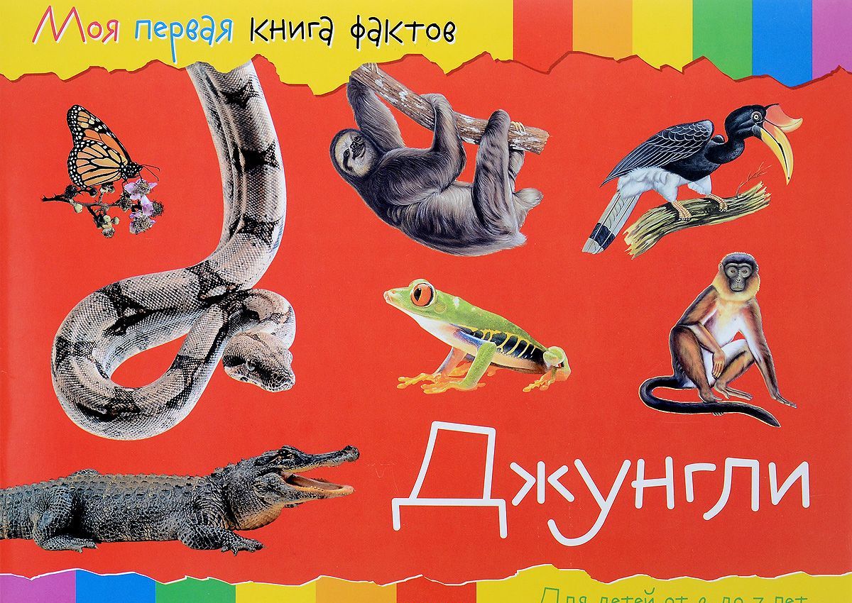 

Джунгли (1269965)