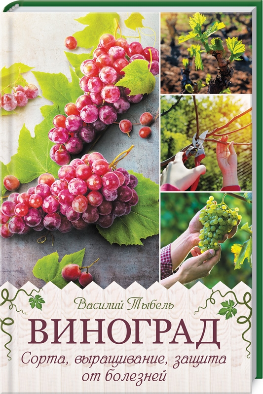 

Виноград. Сорта, выращивание, защита от болезней