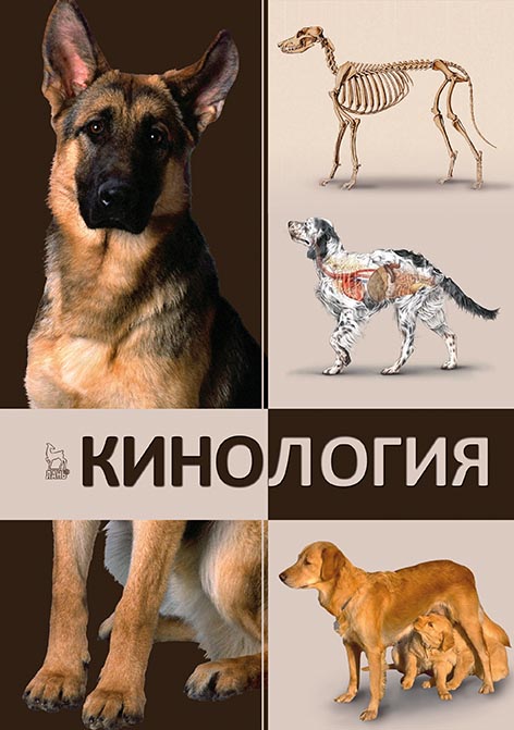 

Кинология