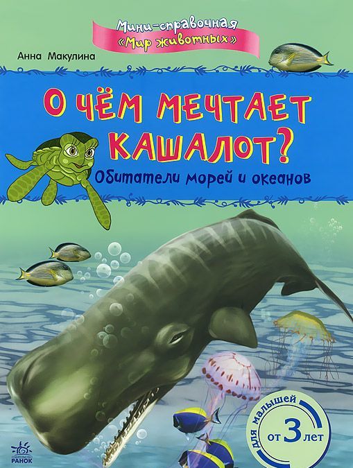 

О чем мечтает кашалот Обитатели морей и океанов