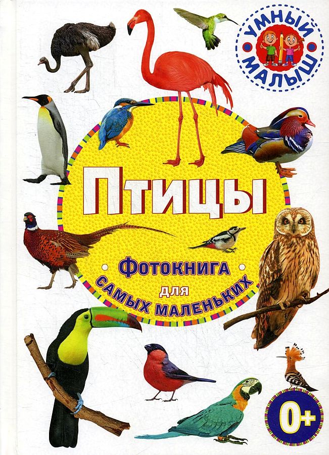 

Птицы. Фотокнига для самых маленьких