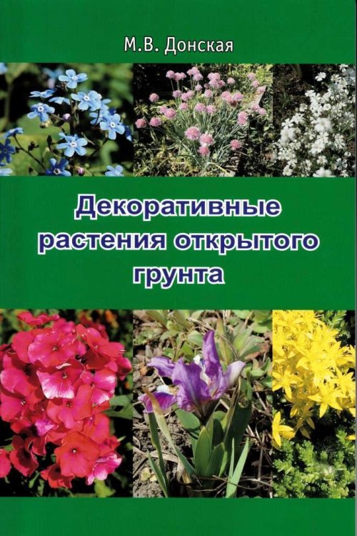 

Декоративные растения открытого грунта